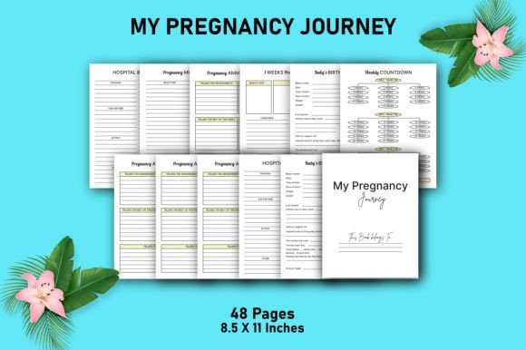 The Ultimate Guide to Your Pregnancy Journey: Avoiding Mistakes with Your KDP Journal